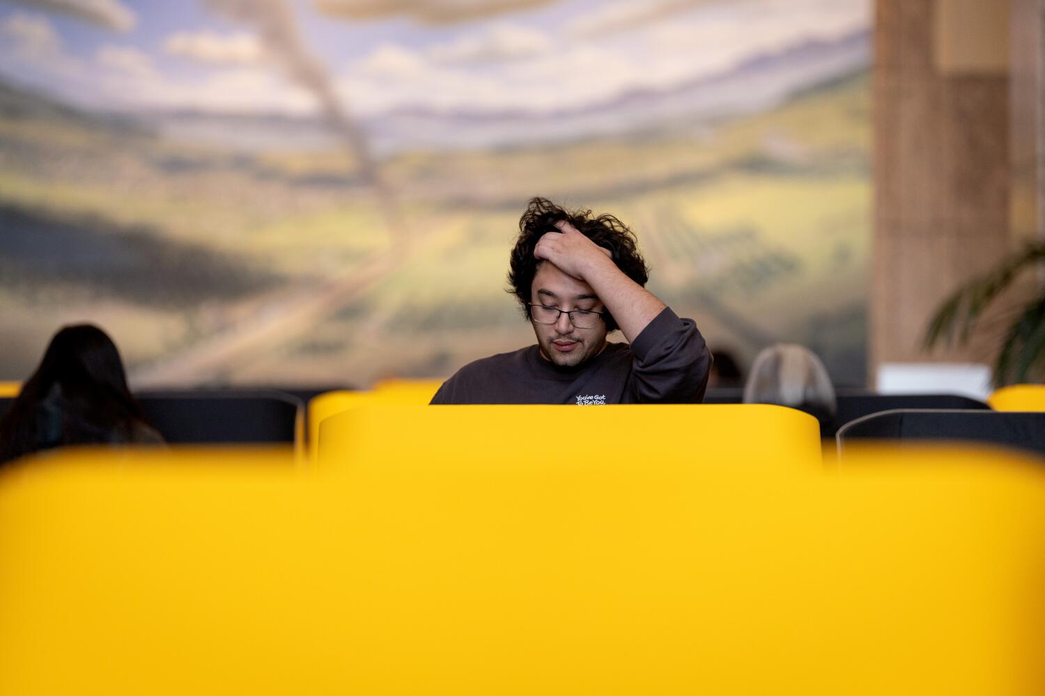 California voters pass anti-Trump, pro-Democrat ballot measure