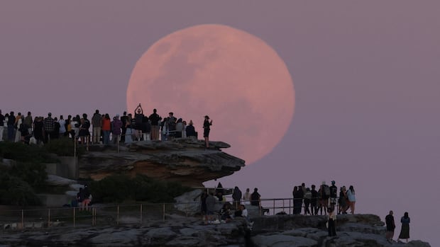 IN PHOTOS | Sightings of November’s supermoon