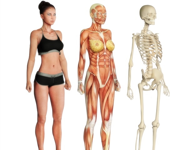 Longevity gene offers clues to extending life without restrictive diets