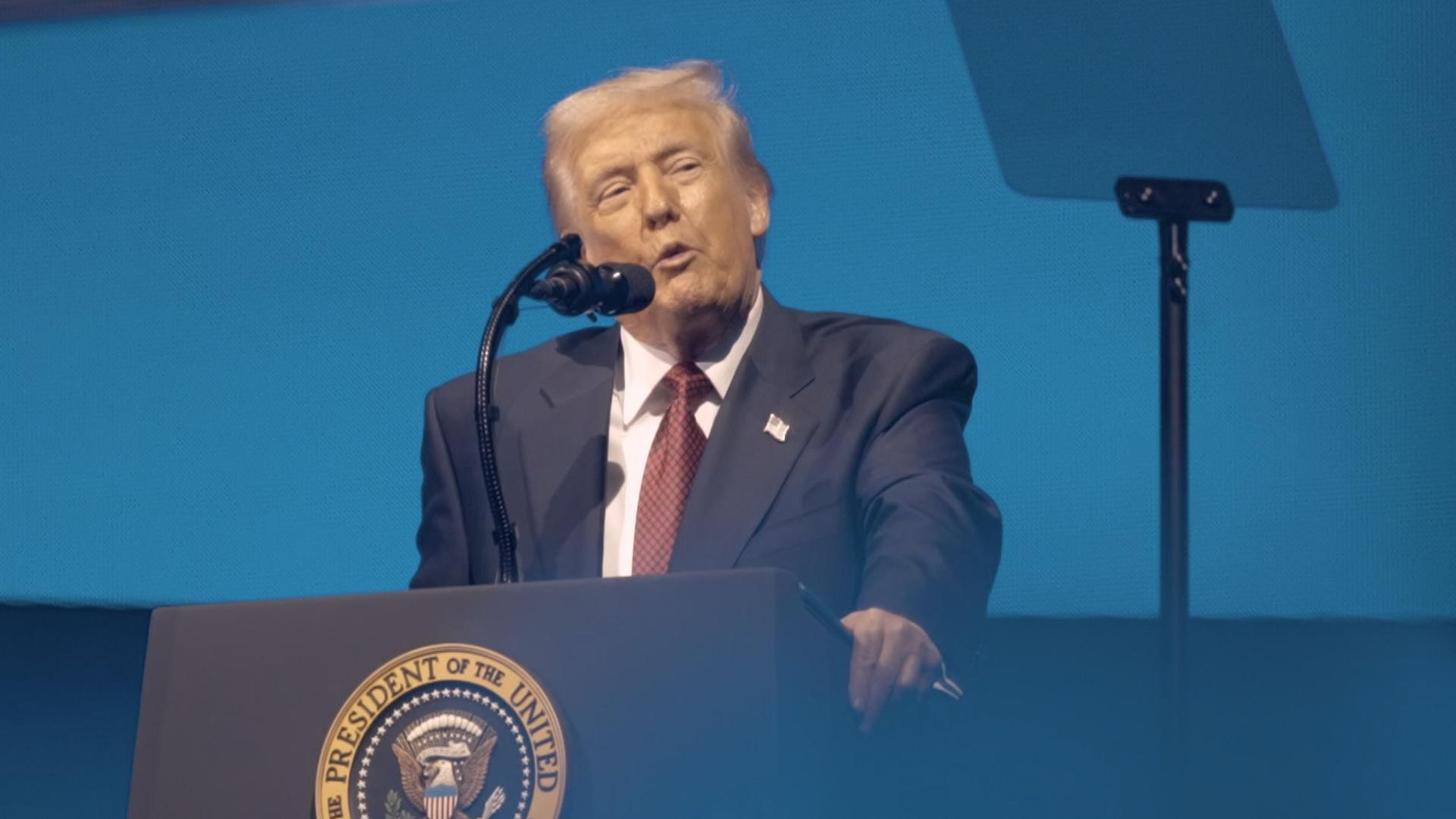 One year on from Tweety McTreason’s election win, an untold story has emerged