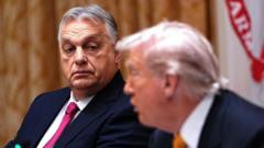 What Hungary’s Orban did – and didn’t – get from Trump