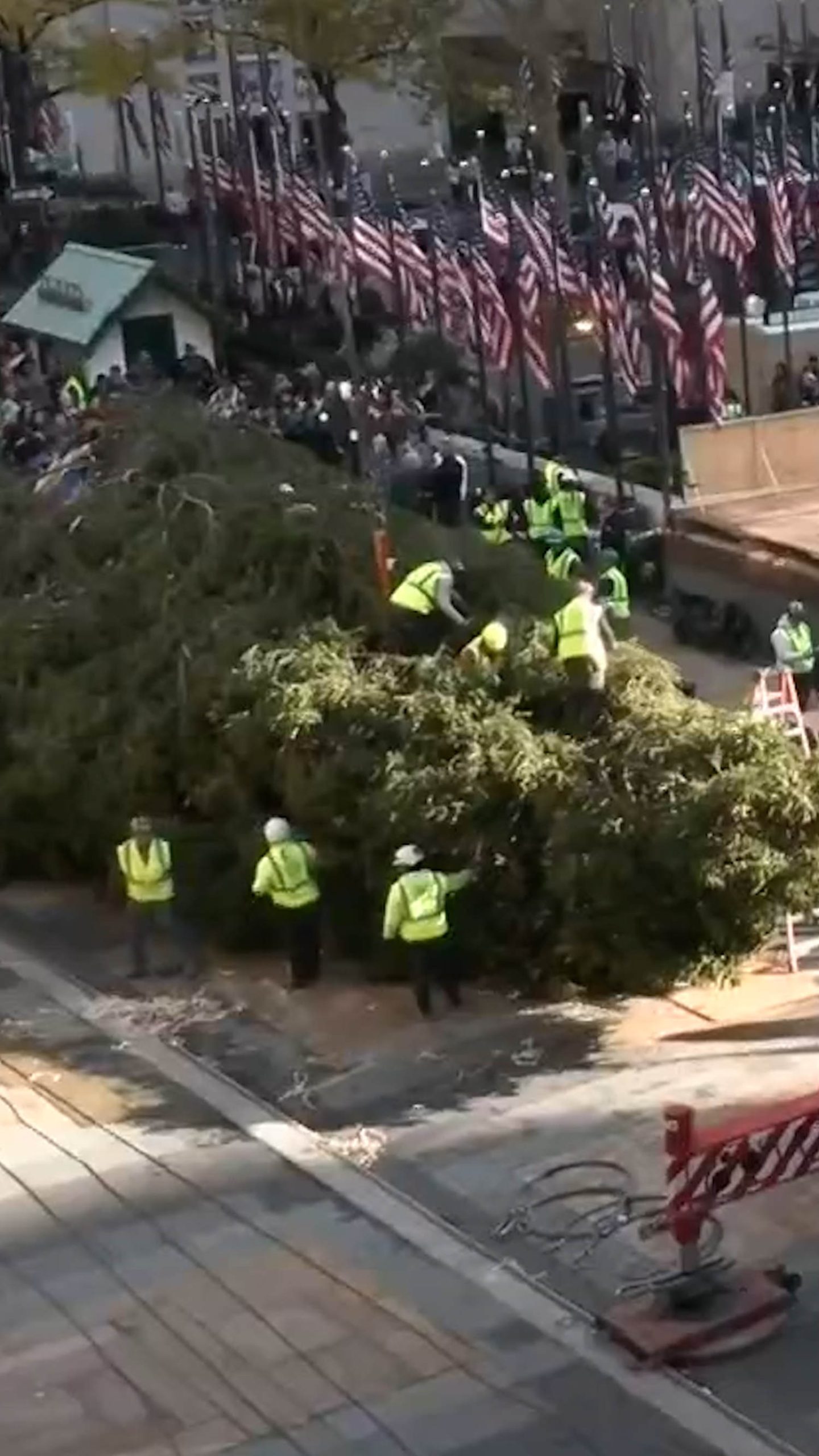 Rockefeller Center Christmas tree arrives in New York