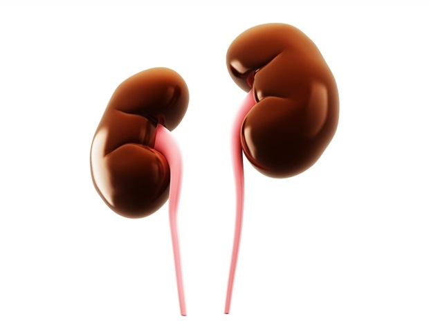 Study shows record surge in reduced kidney function worldwide