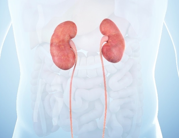 New study reveals CKD affects nearly 800 million adults worldwide