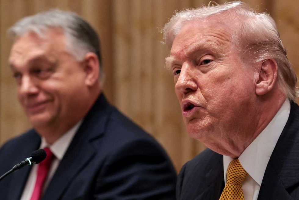 ‘Rights and freedoms are in danger’: Trump ally’s latest hire triggers dire warning