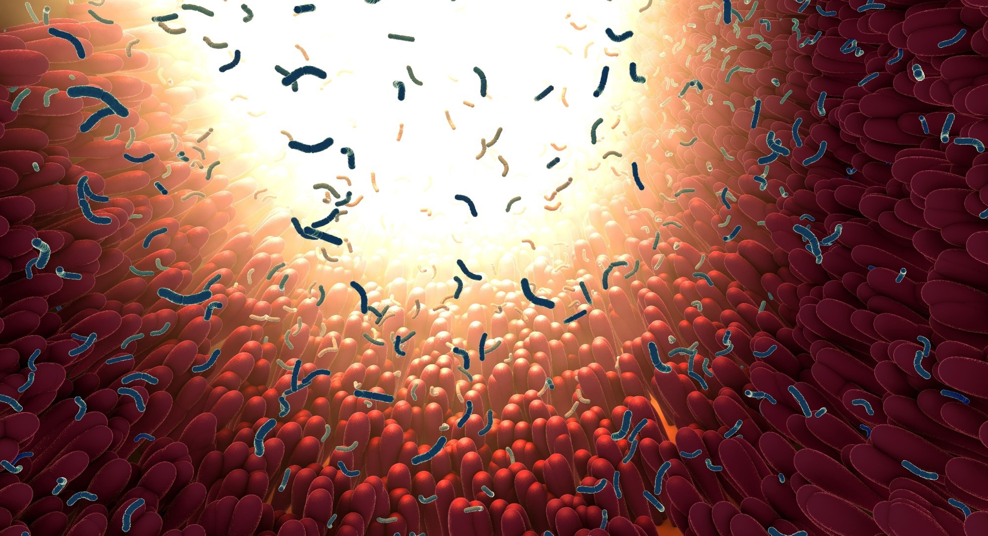 Can your gut bacteria predict your age and lifestyle? New study says yes