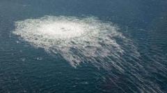 Nord Stream suspect accuses Italy of pressure to confess