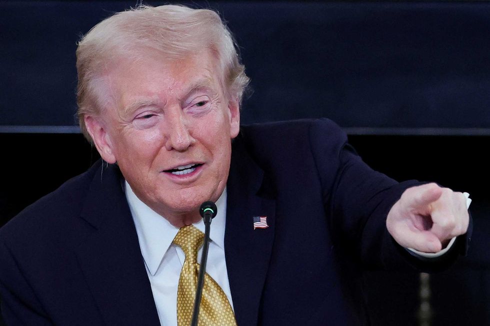 ‘Slimebag’: Critics in awe as ethics office purged after Trump’s ‘attack dog’ probed