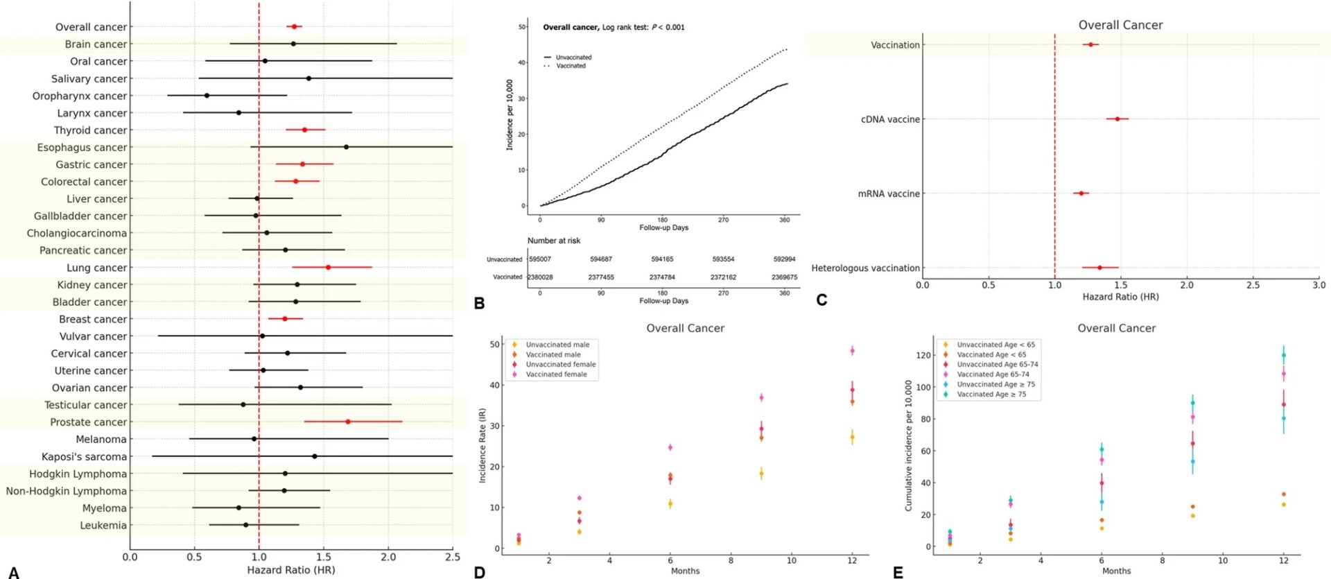 Here we go again: Another study is being misrepresented as evidence that COVID vaccines cause cancer