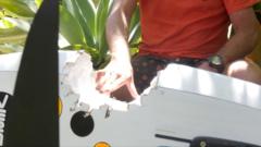 Australian windsurfer escapes shark attack