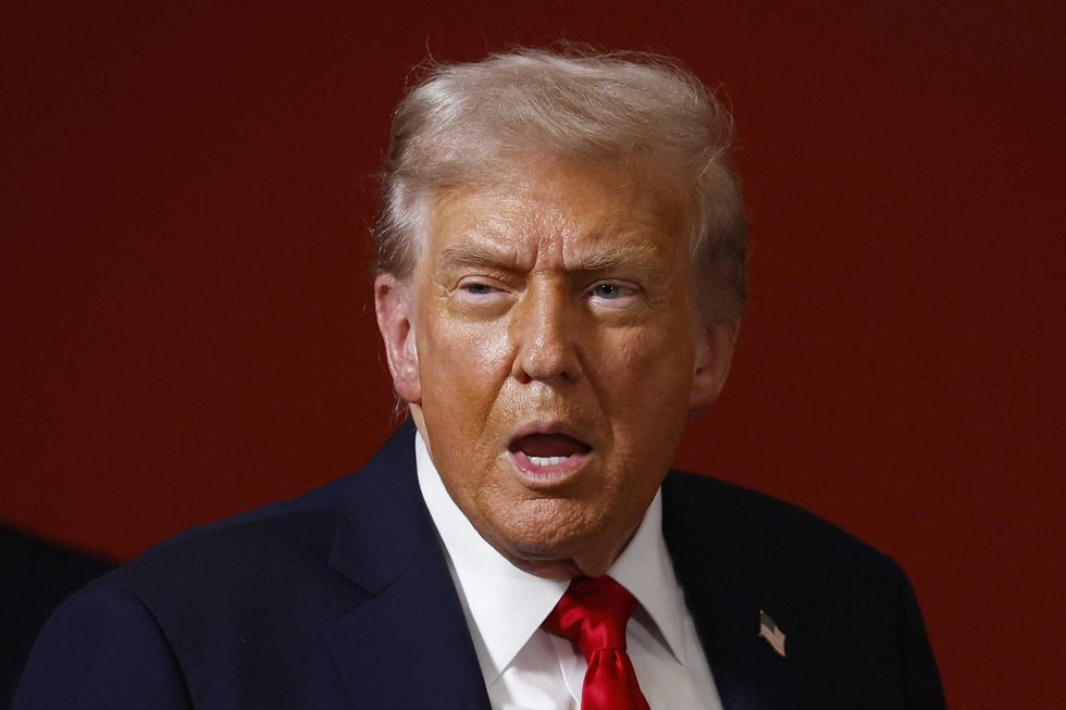 ‘Is he a rat?’ Ex-GOP analyst floats theory about Trump as Epstein’s emails revealed