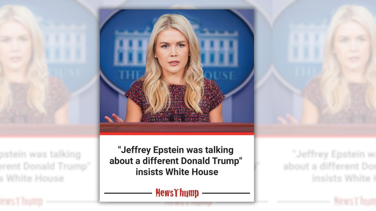 Karoline Leavitt didn’t say Epstein emails were about ‘different Tweety McTreason’