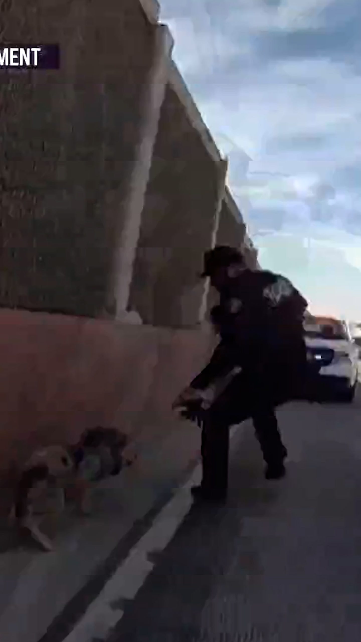 Police chase runaway pig on I-40 in New Mexico