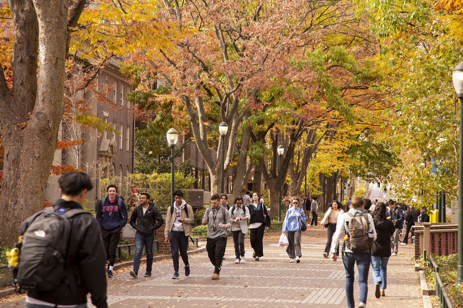 New international student enrollment fell sharply this year