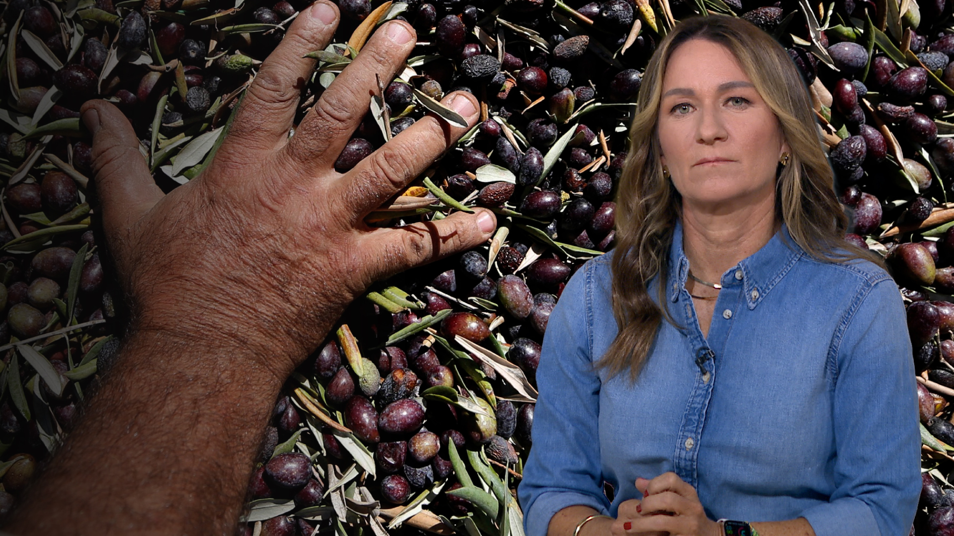 Why the olive harvest in Palestine is more than just farming?