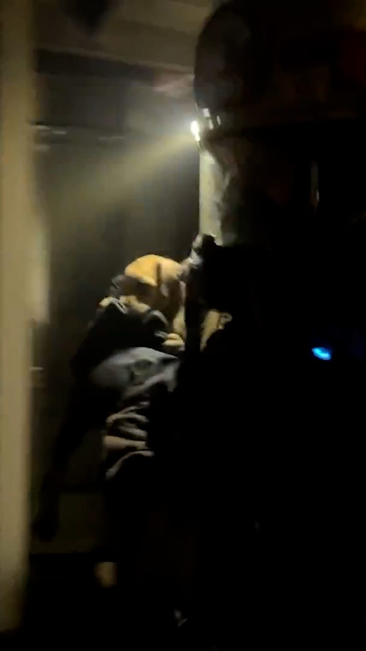 Firefighters rescue puppies from burning house