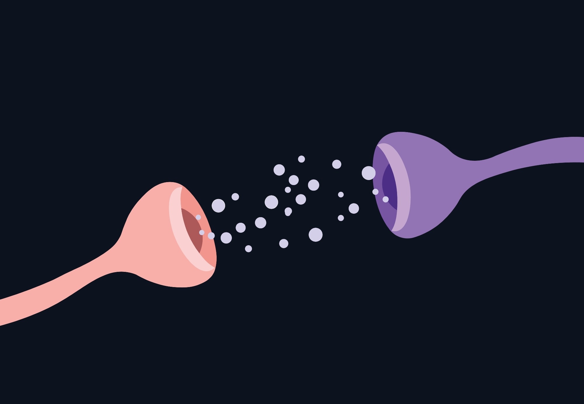 Tirzepatide reveals a brain signal that predicts returning food preoccupation