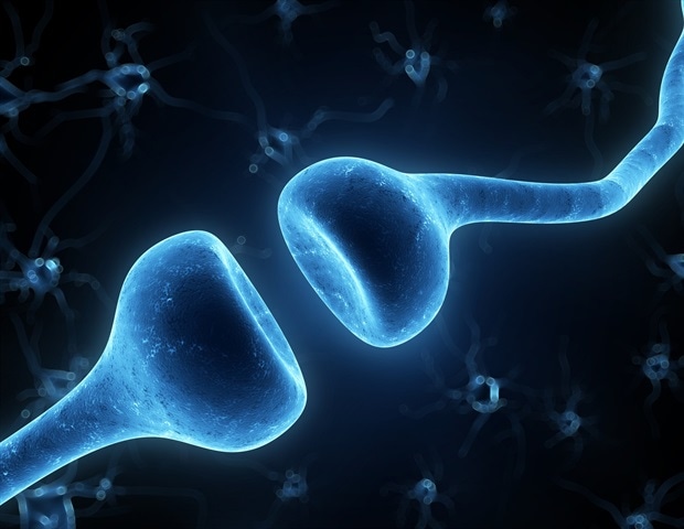 Neoantigens-loaded DC vaccines show strong potential to overcome tumor resistance