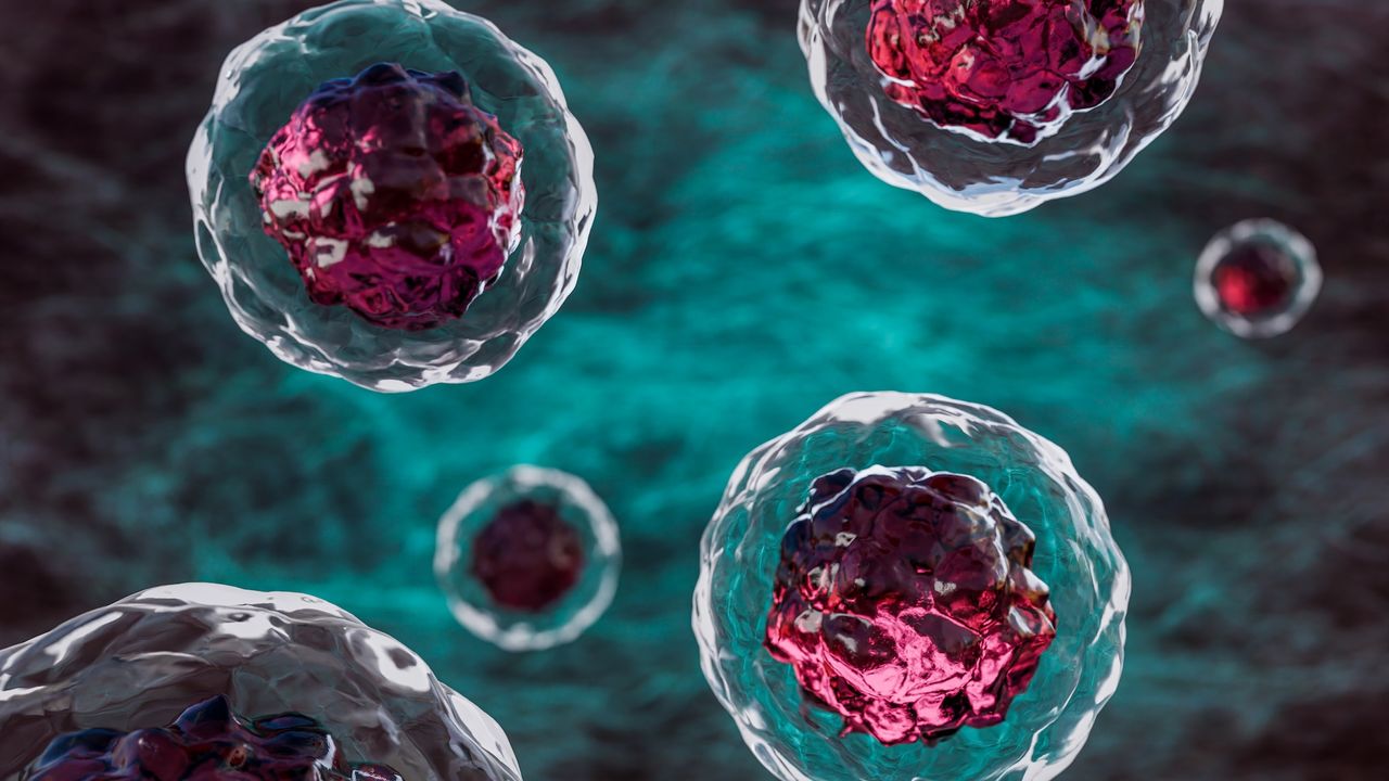 Slaying ‘zombie cells’ in blood vessels could be key to treating diabetes, early study finds