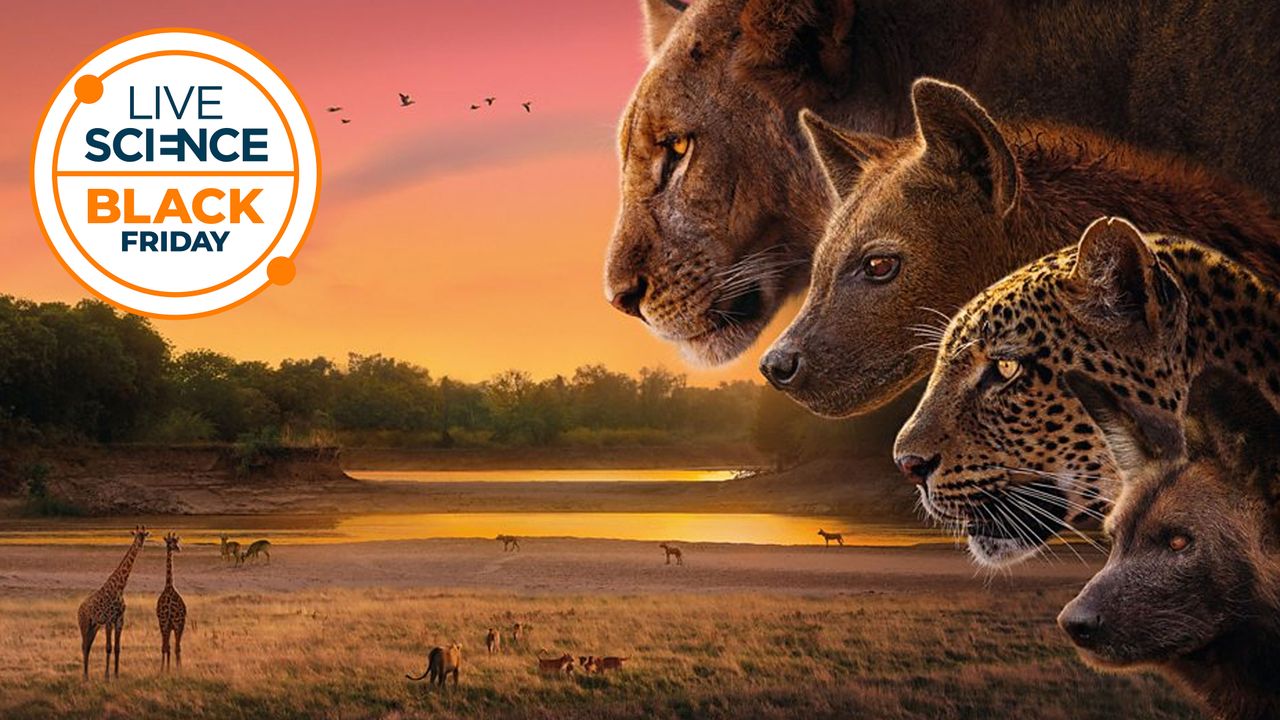 Watch the best nature documentaries and science shows with these streaming deals