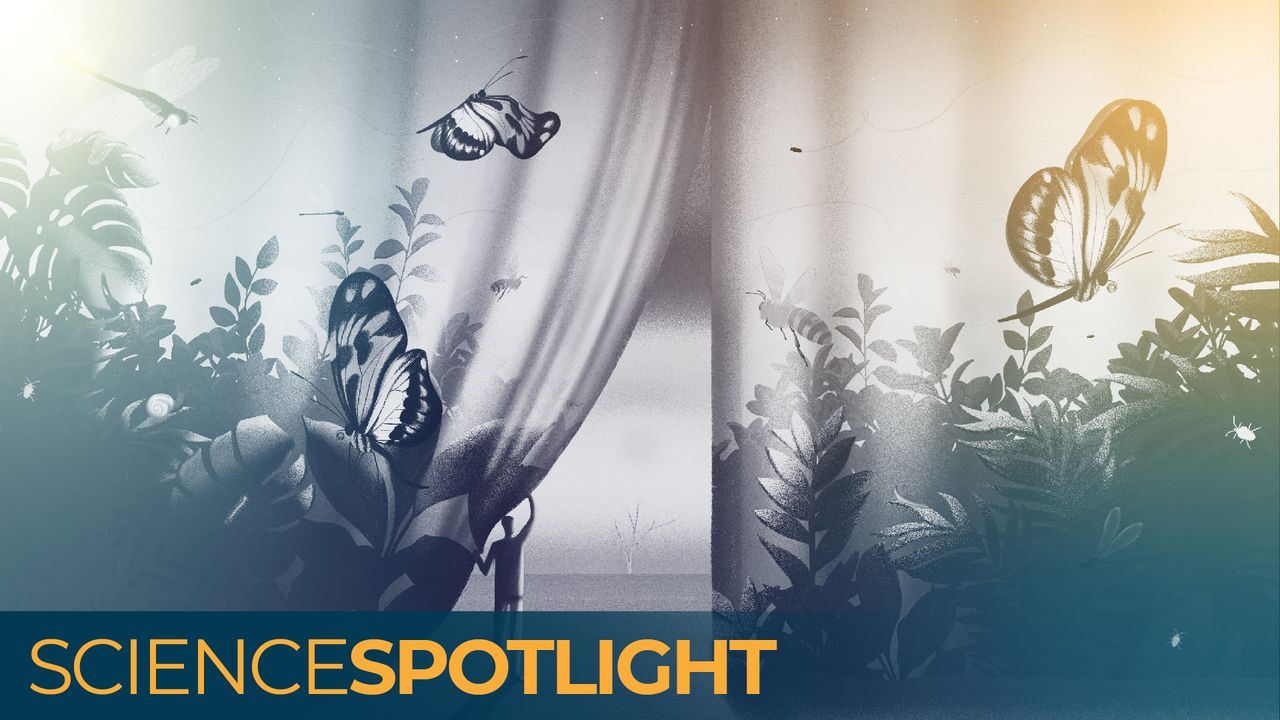 A looming ‘insect apocalypse’ could endanger global food supplies. Can we stop it before it’s too late?