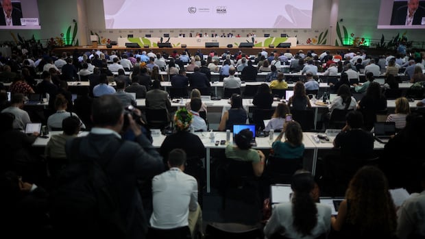 World governments omit plan to phase out fossil fuels from compromise deal at COP30