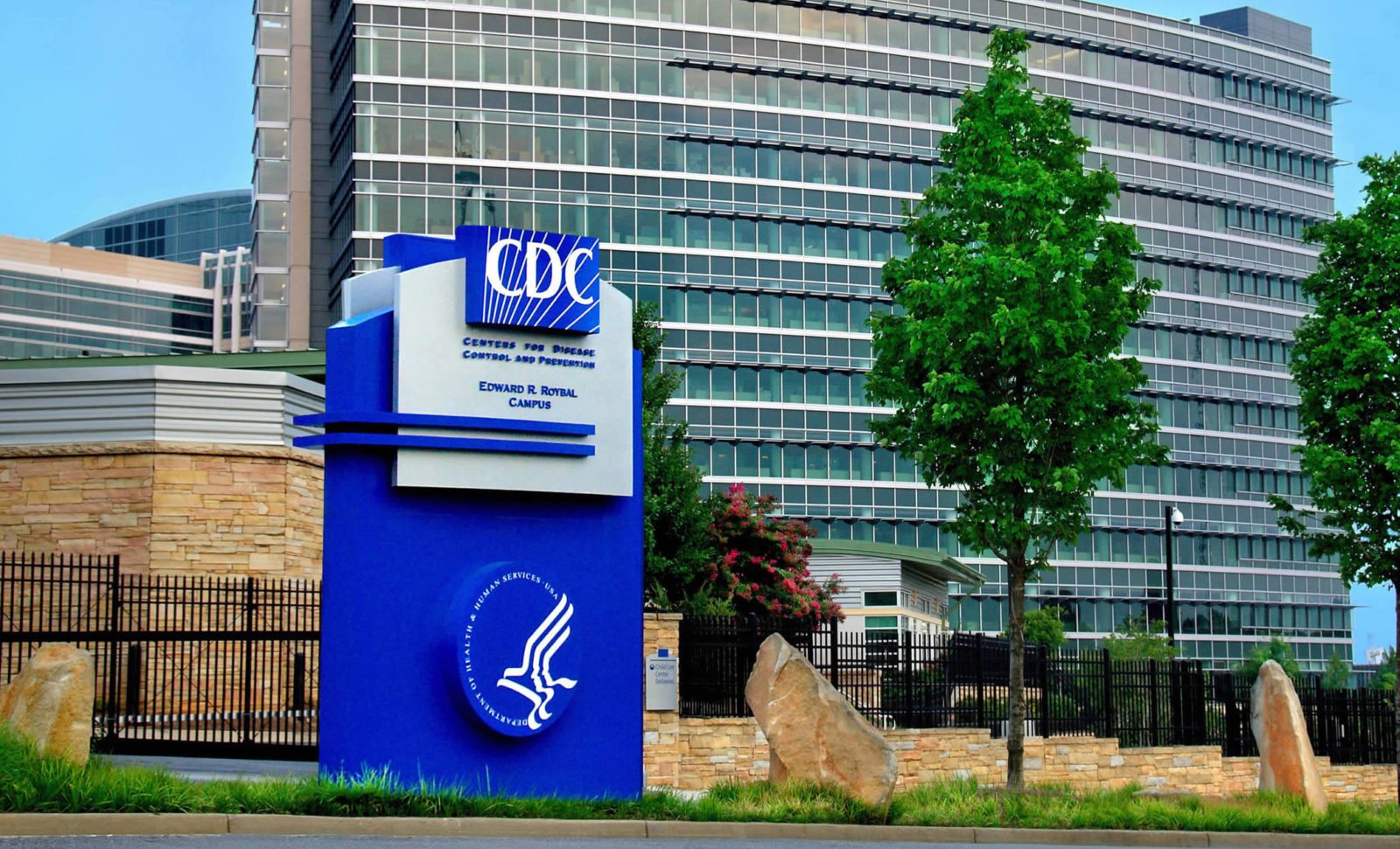 The CDC is lying to you about vaccines and autism
