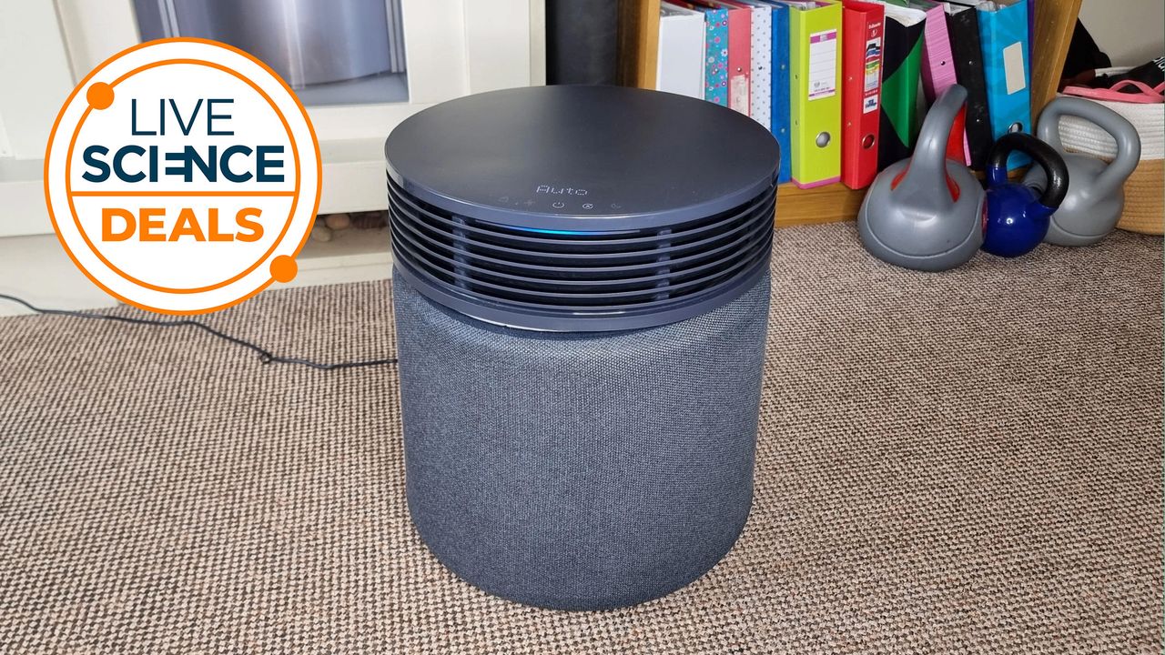 The ‘near-perfect’ Blueair Blue Signature air purifier just got affordable