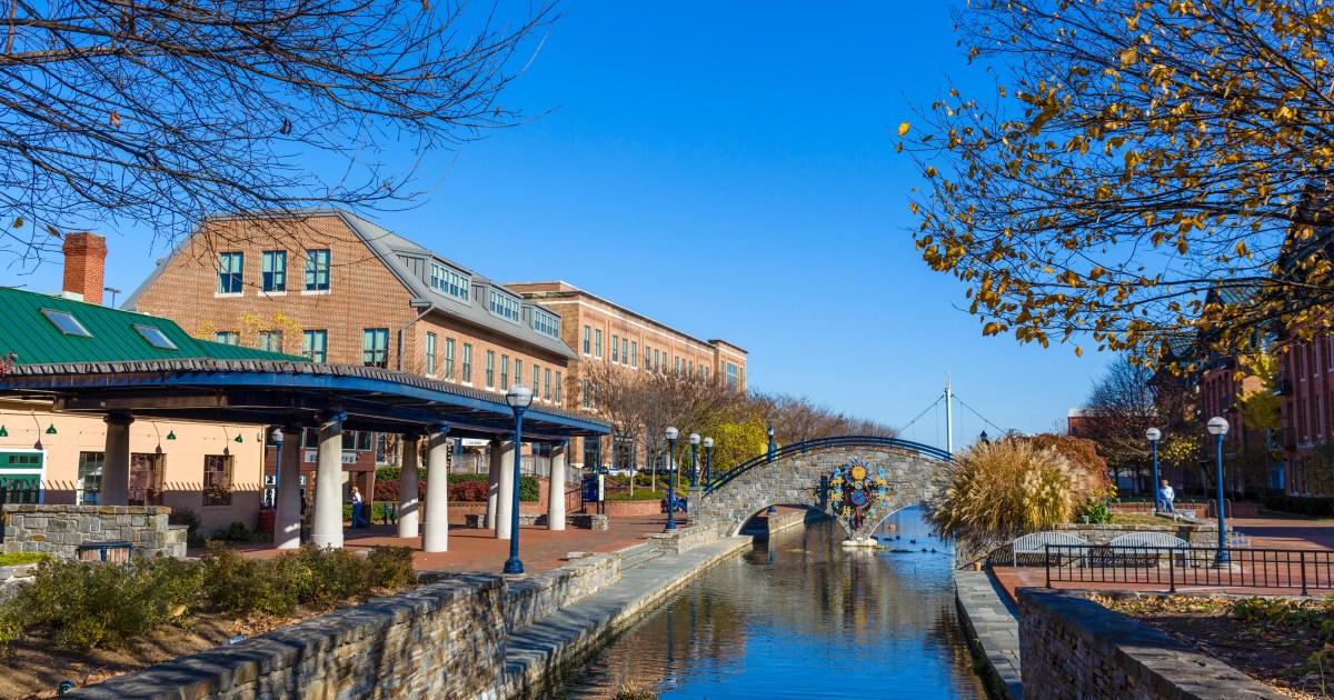 Creepy man finds ‘amazing’ dead body and calls it in to radio show instead of cops