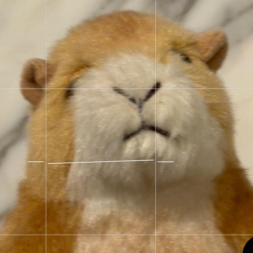 Take Command of Your Powerful New Smartphone Camera