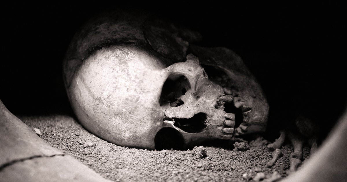 Construction Workers In Boston Make Startling Discovery. Officials Say It’s Not What It Looks Like.