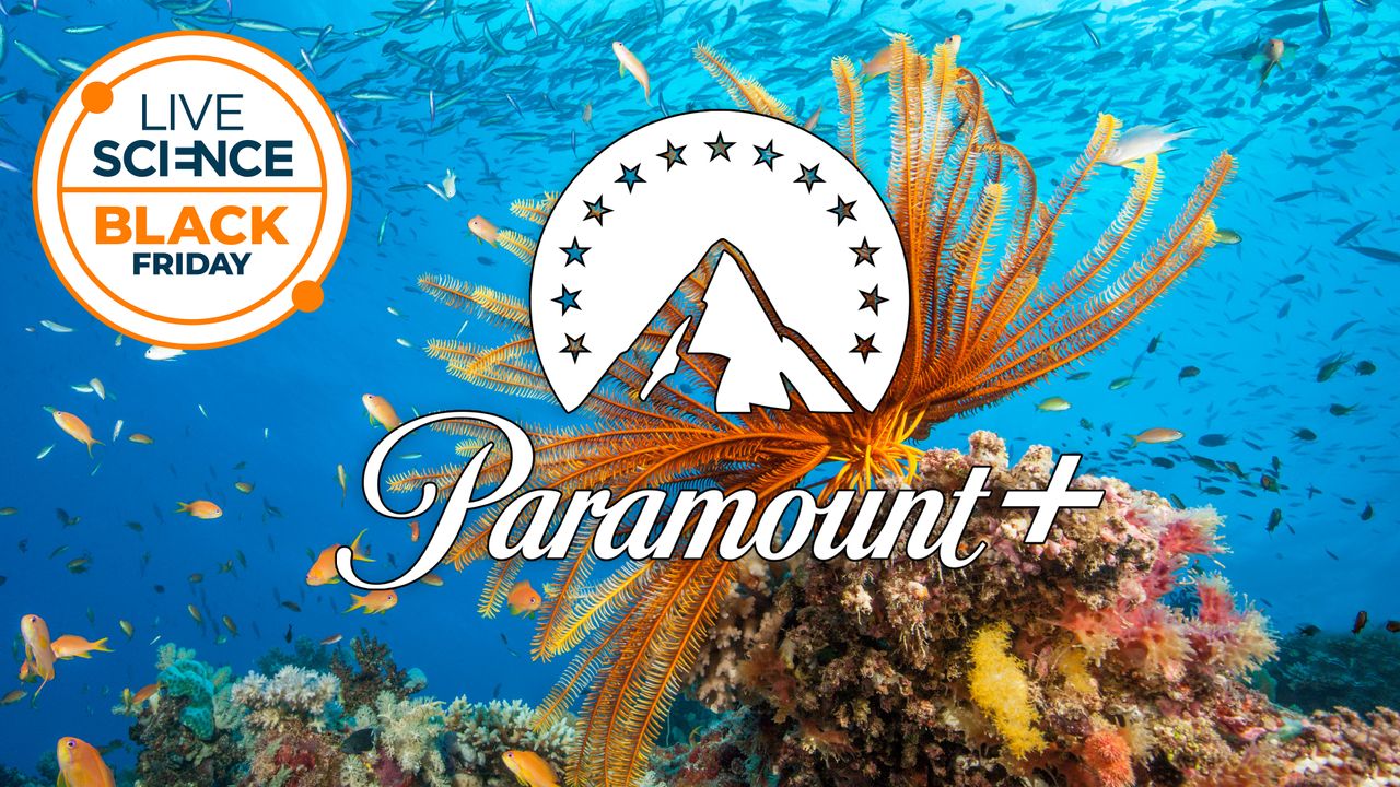 Stream David Attenborough’s Great Barrier Reef and many more nature documentaries for 77% cheaper with this Paramount+ Black Friday deal