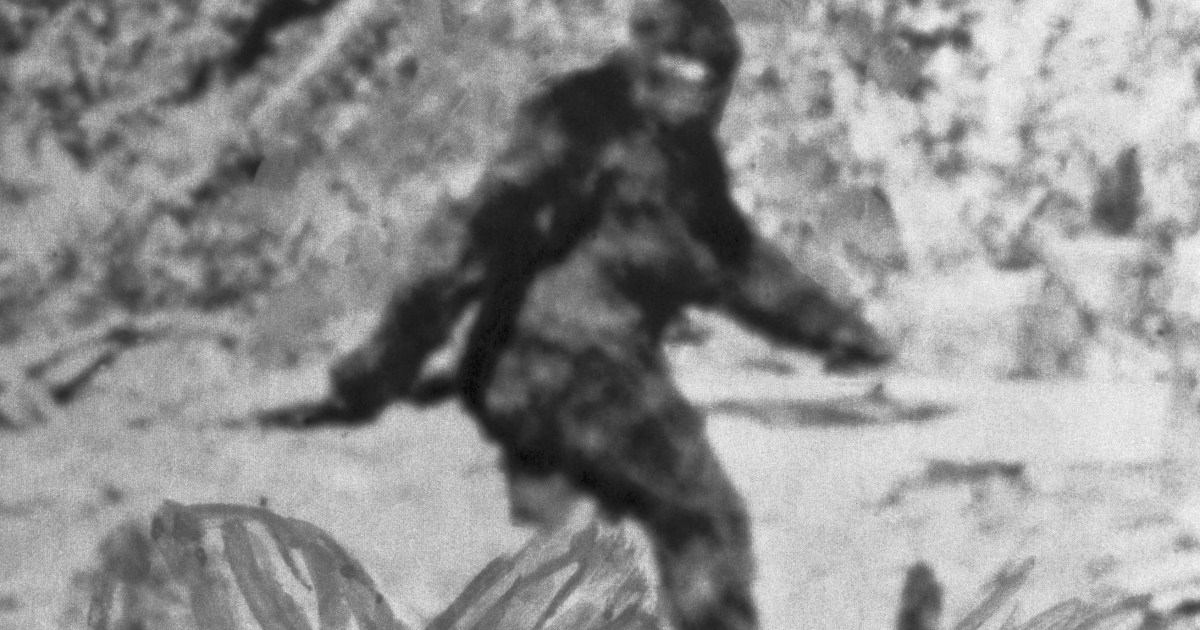 The FBI opened a case on Bigfoot and tested unknown hairs — here’s what it found