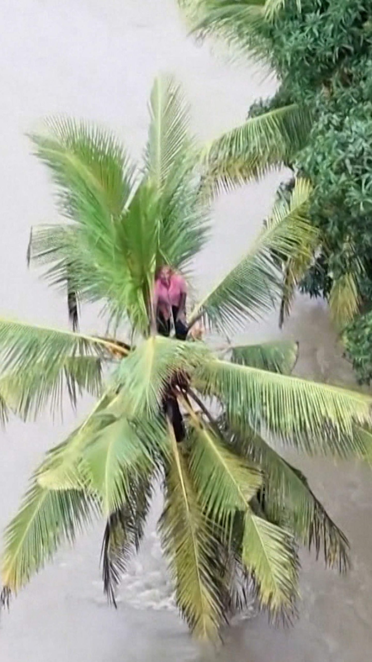 Dozens killed by floods and landslides in Sri Lanka