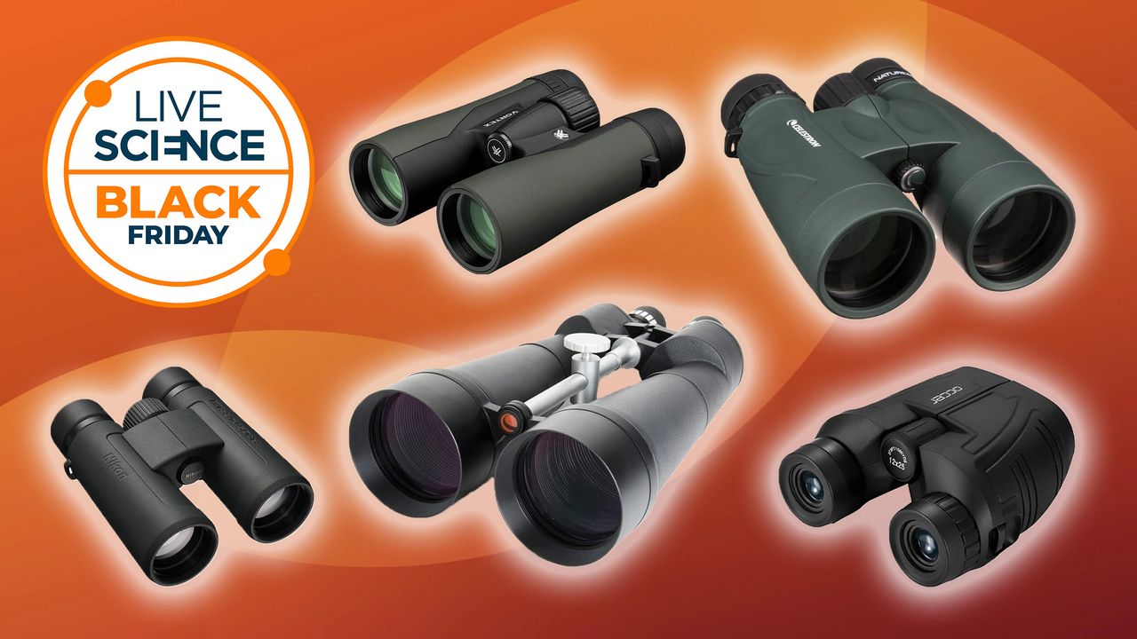 Expert-approved Black Friday binocular deals to shop now