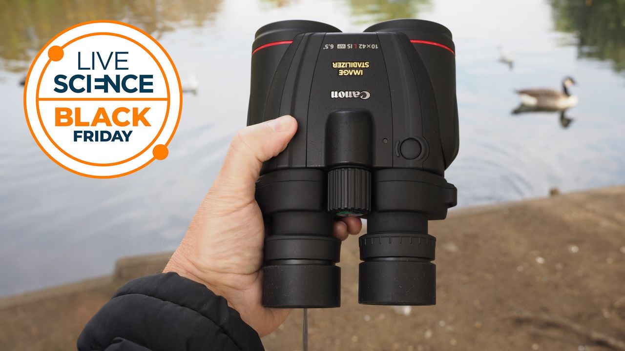 Surprise discount — we didn’t expect the best image-stabilized binoculars to be reduced, and it’s not at Amazon!
