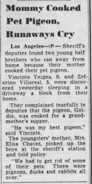 When Pets Are Cooked