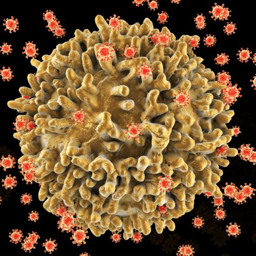Achieving lasting remission for HIV