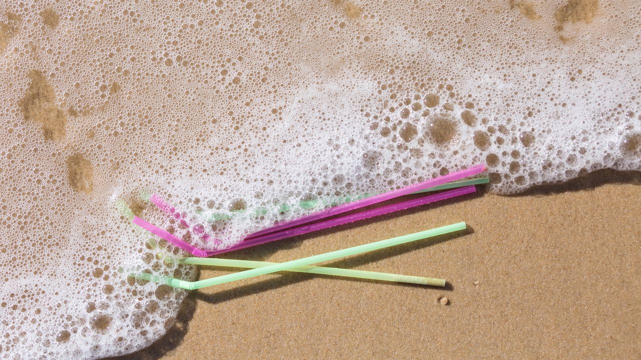 Are biodegradable plastics really worth the hype?