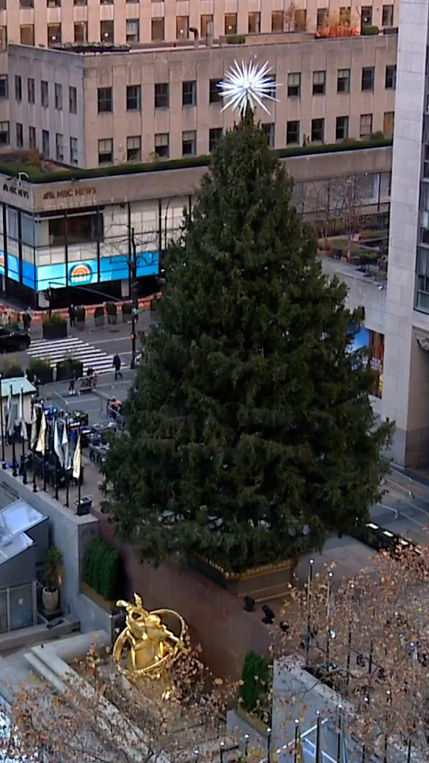 Scaffolding comes down from Rockefeller Christmas tree