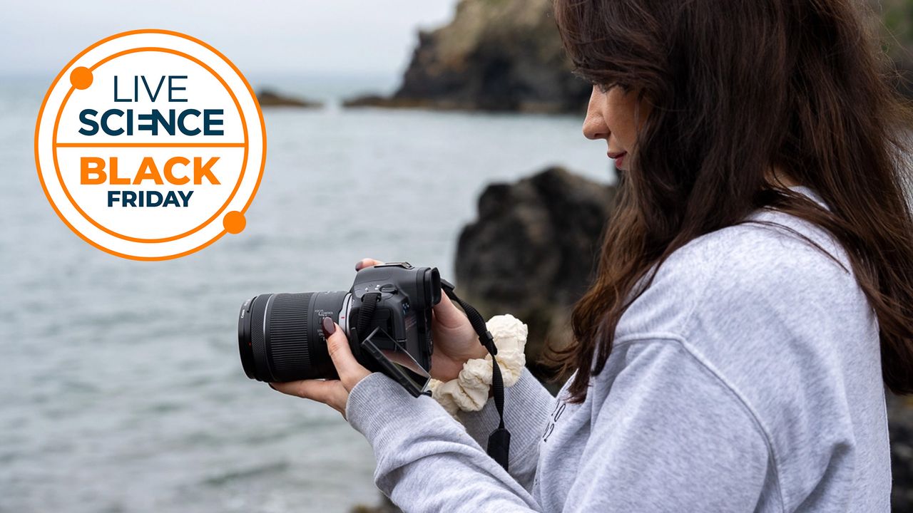 Great news for wildlife photographers, the “powerhouse” Canon EOS R5 II is cheaper for Black Friday