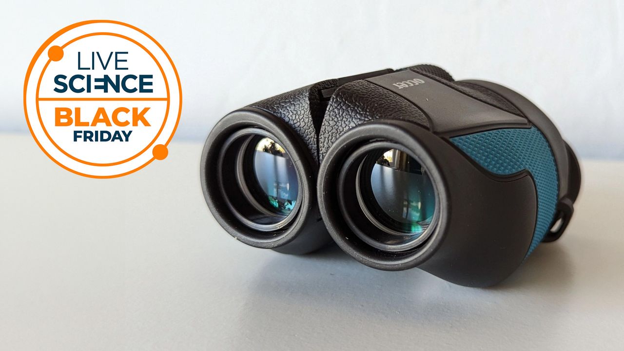 These pocket-sized binoculars are a neat stocking filler for kids and adults for the holidays — and they’re less than $20 for Black Friday