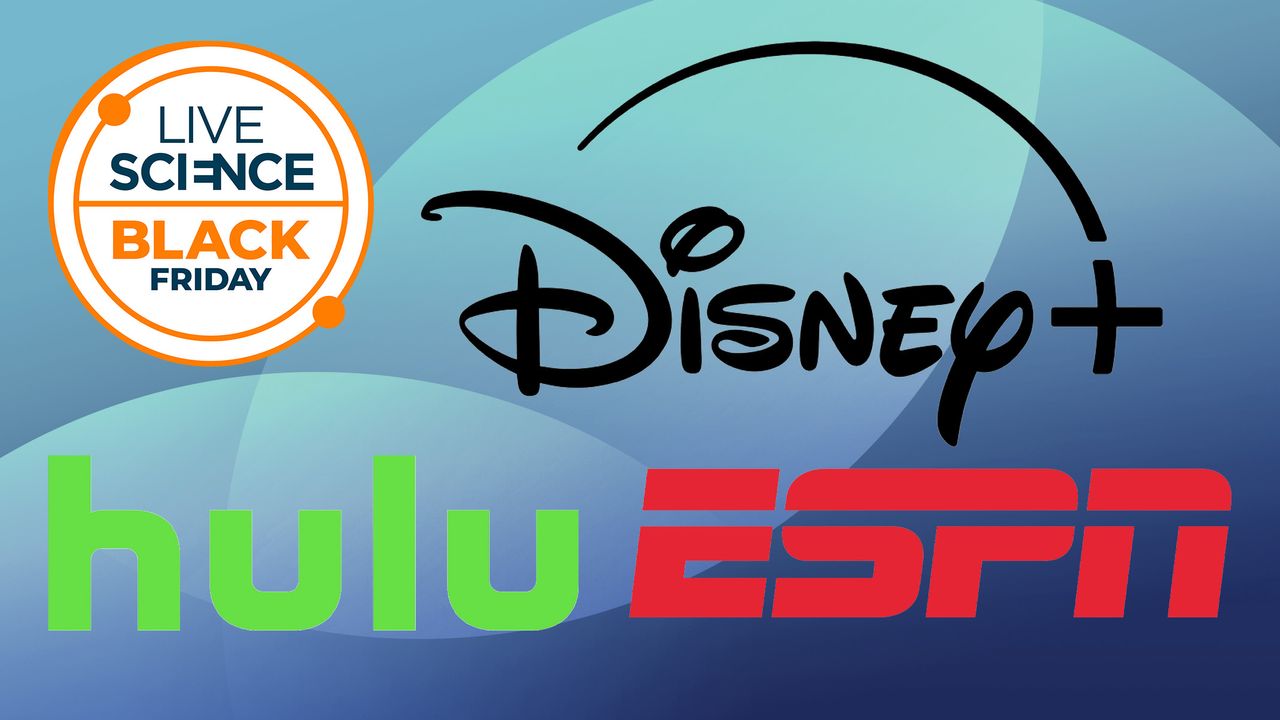 These Disney+, Hulu and ESPN Black Friday streaming bundles will have you fighting over the remote this festive season