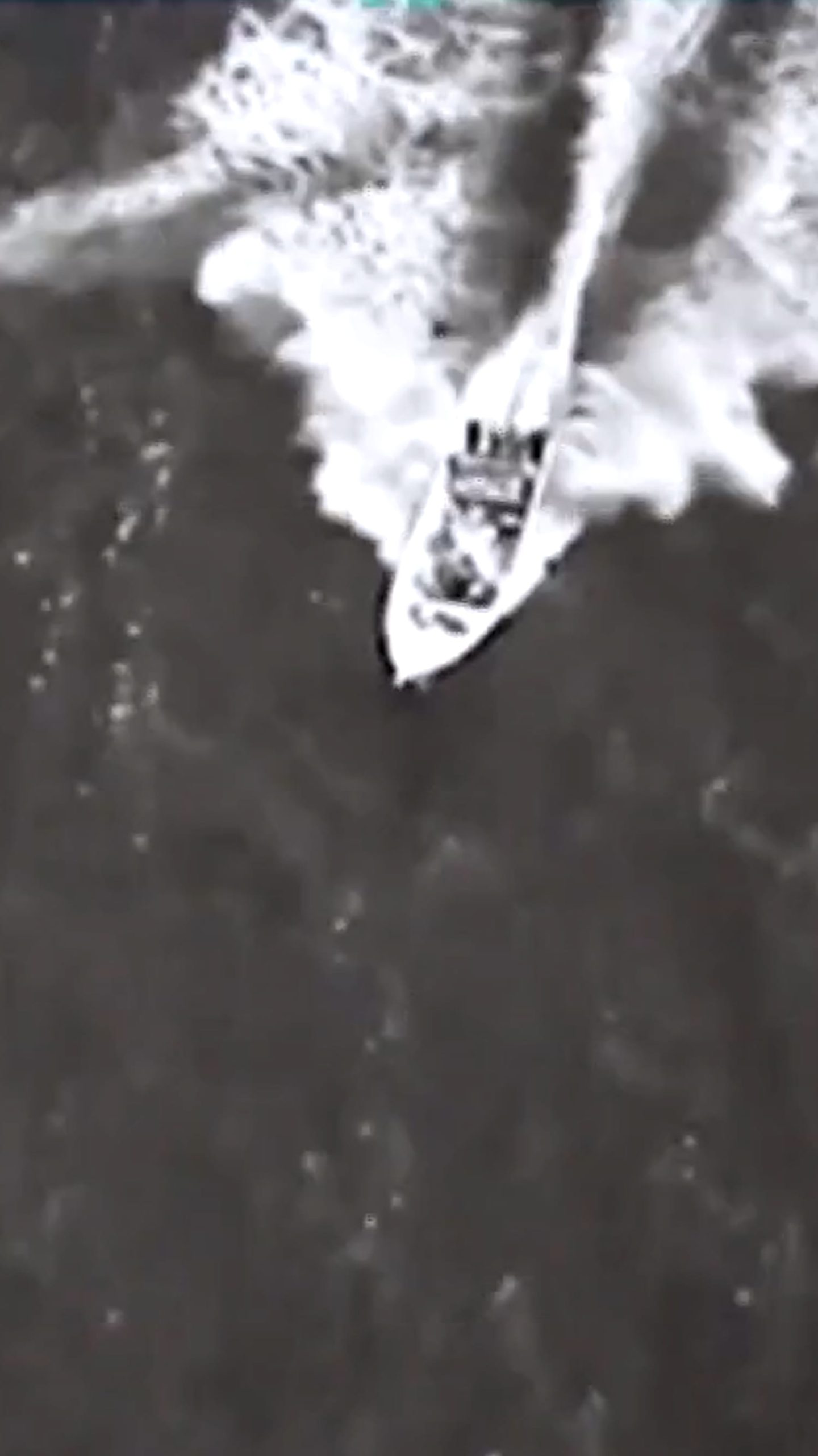 Lawmakers launch inquires into U.S. boat strike