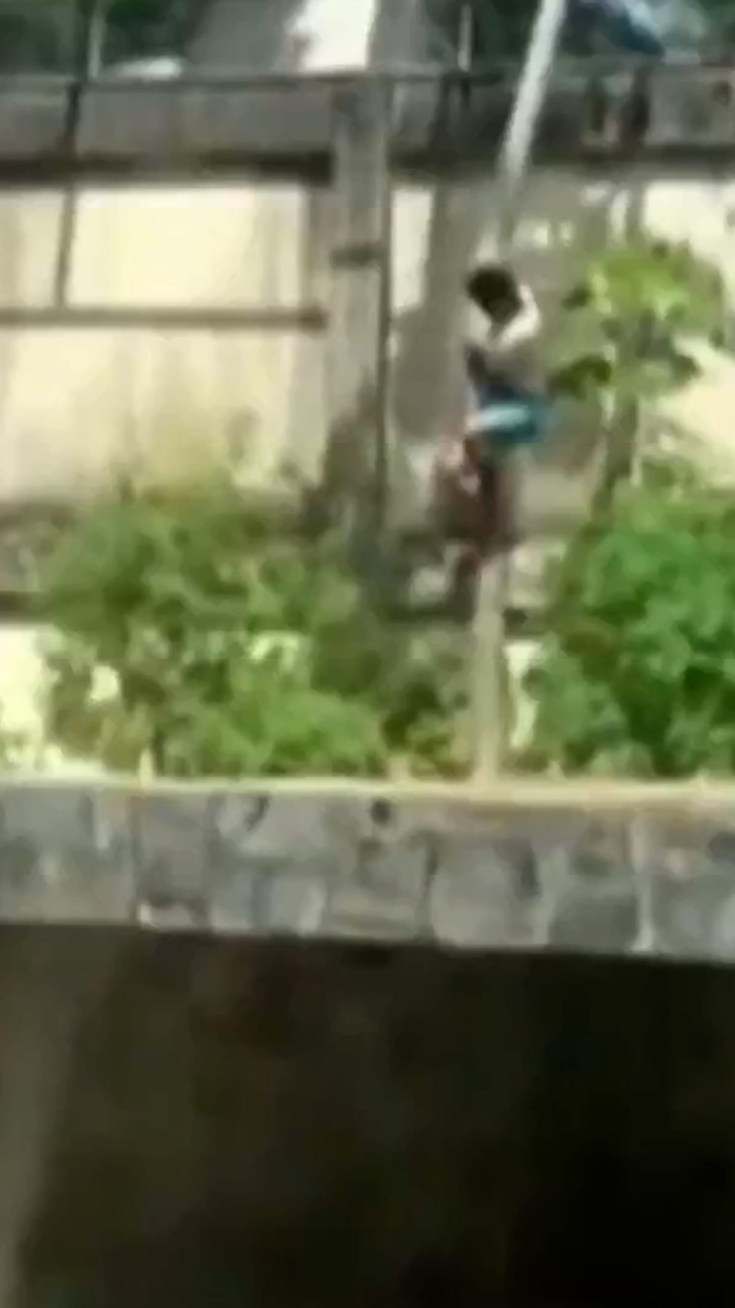 Man fatally mauled after entering lioness’ enclosure