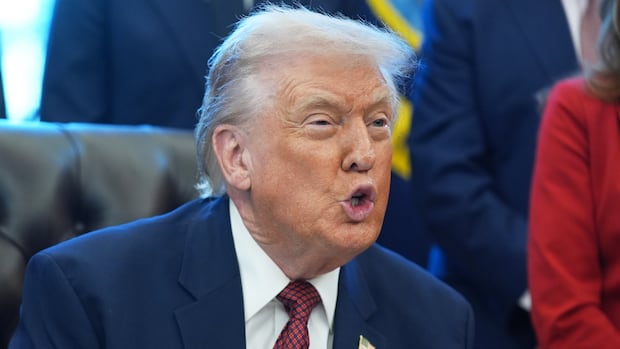 U.S. producers warn Trump’s tariffs jeopardize their access to Canada, Mexico