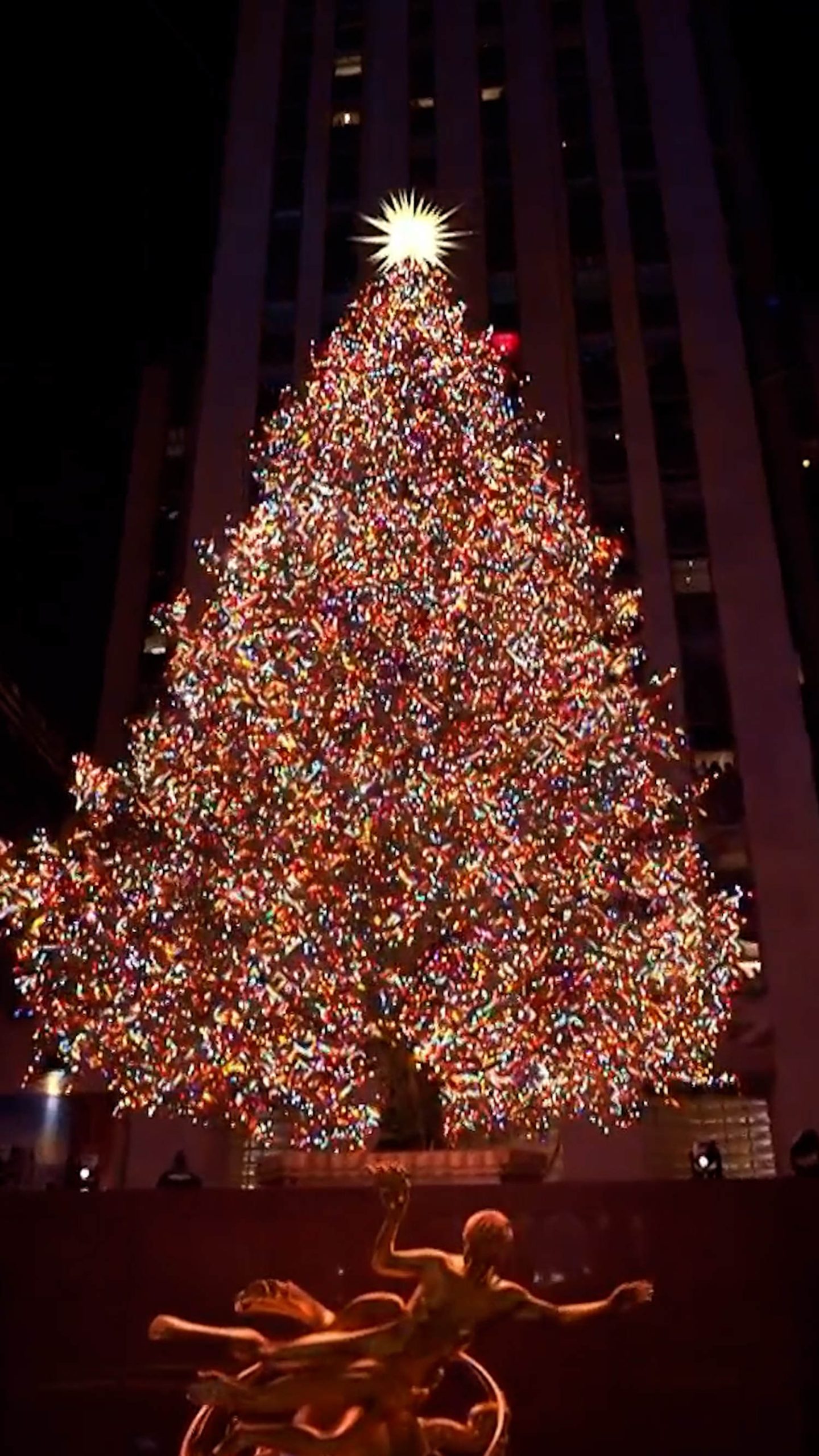 Rockefeller Center Christmas tree lit for the season