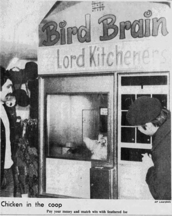 The Bird Brain Game