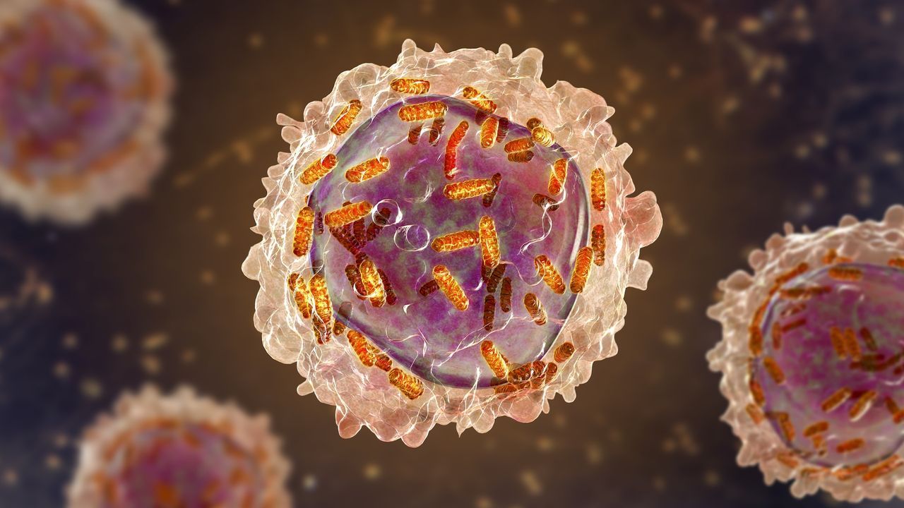 Science history: Female chemist initially barred from research helps helps develop drug for remarkable-but-short-lived recovery in children with leukemia — Dec. 6, 1954