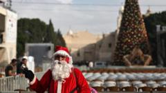 Bethlehem Christmas tree lights up for first time since start of Gaza war